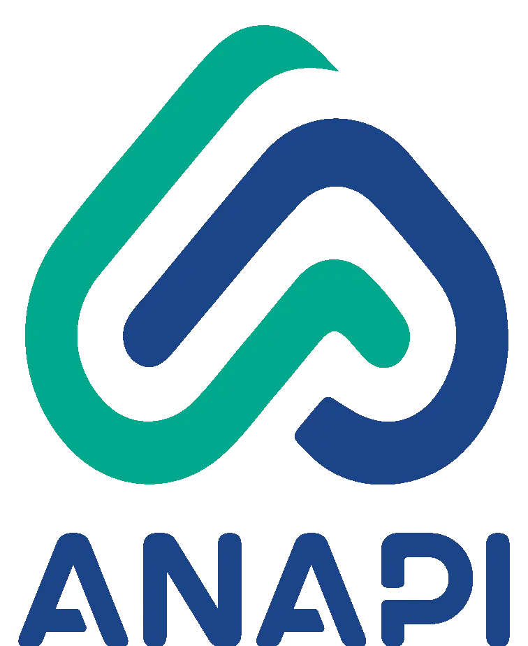 Swiftly Partner ANAPI Logo